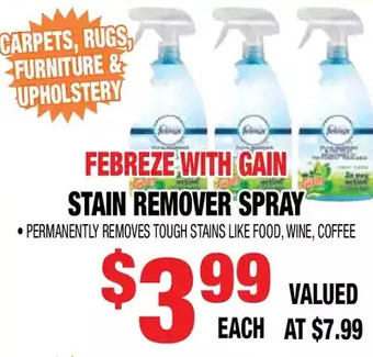 Len's Mill Stores Stain remover spray offer