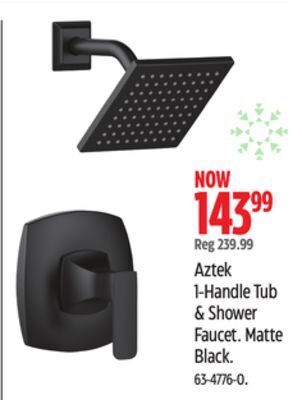 Canadian Tire Danze aztek 1-handle tub & shower faucet offer