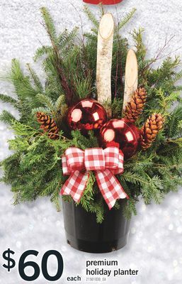 Fortinos Premium holiday planter offer