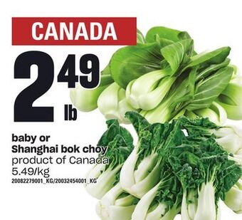 Loblaws Baby or shanghai bok choy offer