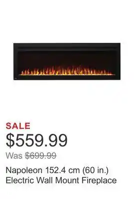 Costco Napoleon 152.4 cm (60 in.) electric wall mount fireplace offer