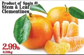 Galati Market Fresh Stem & Leaf Clementines offer