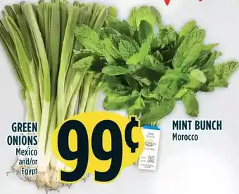Marché Adonis Green onions | mini bunch offer