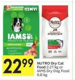 Foodland Nutro Dry Cat Food offer