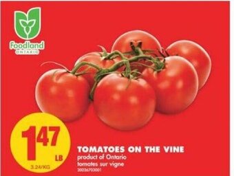 No Frills Tomatoes On The Vine offer