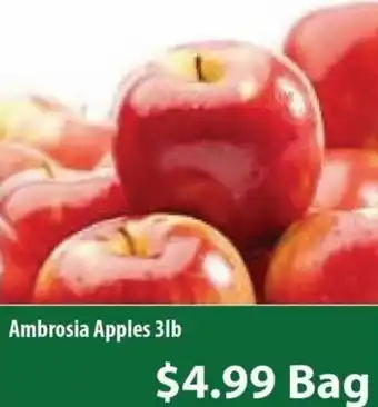Healthy Planet Ambrosia Apples 3lb offer