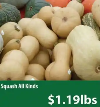 Healthy Planet Squash All Kinds offer
