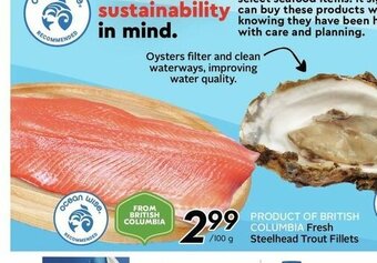 Safeway Fresh Steelhead Trout Fillets offer