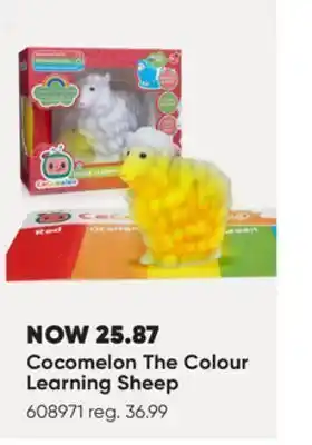 Toys R us Cocomelon the colourlearning sheep offer