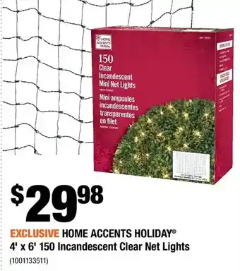Home Depot Home accents holiday 4' x 6' 150 incandescent clear net lights offer