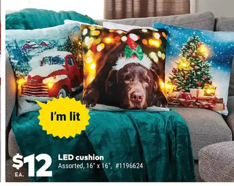 Giant Tiger Led cushion offer