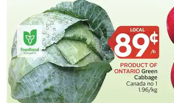 Foodland Green cabbage offer