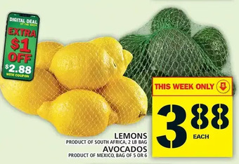 Food Basics Lemons | avocados offer