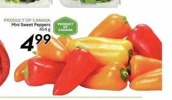 Safeway Mini Sweet Peppers offer