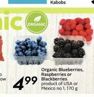 Safeway Organic Blueberries Raspberries offer