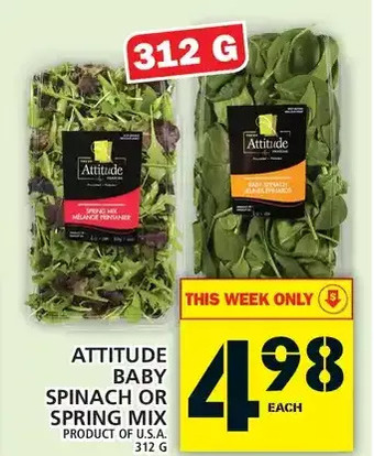 Food Basics Attitude baby spinach or spring mix offer