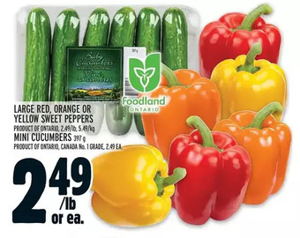 Metro Large red, orange or yellow sweet peppers | mini cucumbers offer