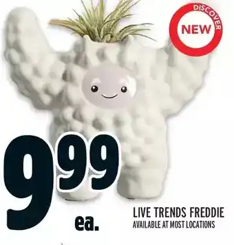 Metro Live trends freddie offer
