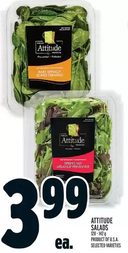 Metro Attitude salads offer