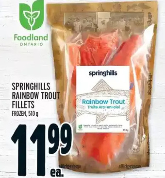 Metro Springhills rainbow trout fillets offer
