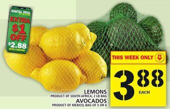 Food Basics Lemons or avocados offer