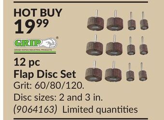 Princess Auto 12 pc flap disc set offer