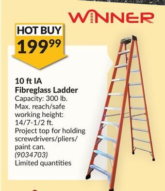 Princess Auto 10 ft ia fibreglass ladder offer