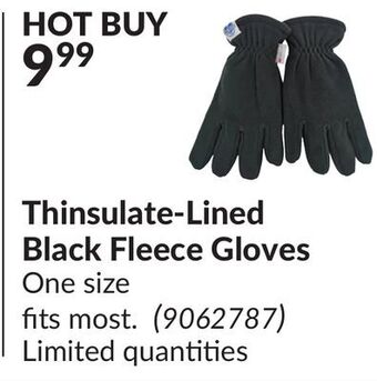 Princess Auto Thinsulate-lined black fleece gloves offer