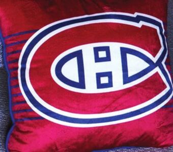 Giant Tiger Nhl cushion offer