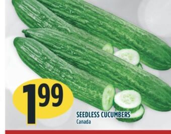 Marché Adonis Seedless cucumbers offer