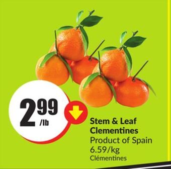 FreshCo Stem & leaf clementines product of spain 6.59/kg offer