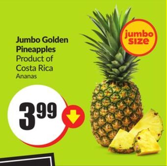 FreshCo Jumbo golden pineapples product of costa rica offer