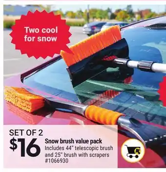 Giant Tiger Snow brush value pack offer