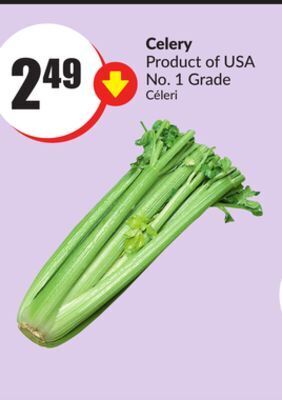 Chalo FreshCo Celery product of usa no. 1 grade offer