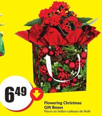 Chalo FreshCo Flowering christmas gift boxes offer