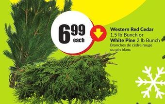 Chalo FreshCo Western red cedar 1.5 lb bunch or white pine 2 lb bunch offer