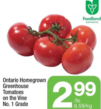 Highland Farms Ontario homegrown greenhouse tomatoes offer