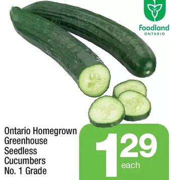 Highland Farms Ontario homegrown greenhouse seedless cucumbers offer