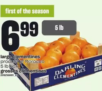 Independent Grocer Large clementines offer