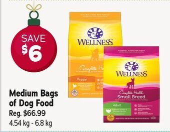 Ren’s Pets Depot Wellness medium bags of dog food offer