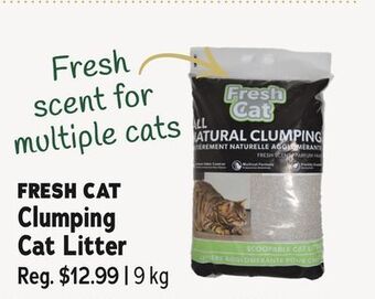 Ren’s Pets Depot Fresh cat clumping cat litter offer