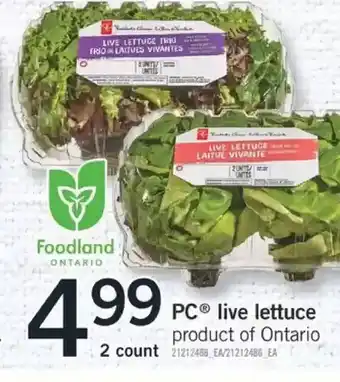 Fortinos Pc live lettuce offer