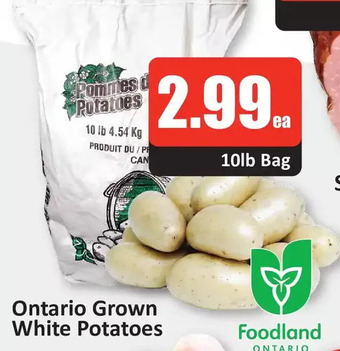 Starsky Ontario grown white potatoes offer