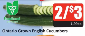 Starsky Ontario grown english cucumbers offer