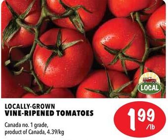 Farm Boy Locally-grown vine-ripened tomatoes offer