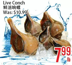 Bestco Food Mart Live conch offer