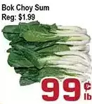 Top Food Supermarket Bok choy sum offer