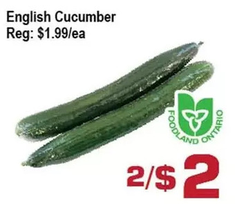 English cucumber
