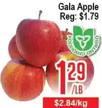 Skyland Foodmart Gala apple offer