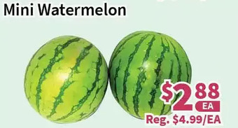 Blue Sky Supermarket Mini watermelon offer